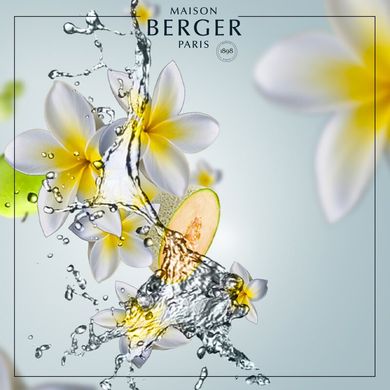 Картридж Аромадифузора в машину (2шт.) Maison Berger AROMA Happy - Aquatic Freshness (6419-BER) 6419-BER фото