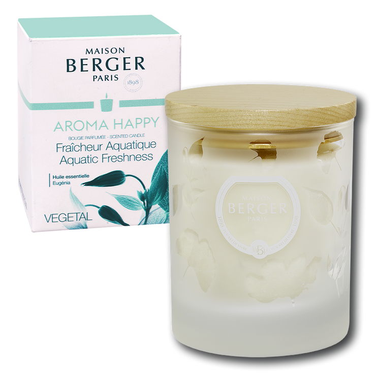 Ароматична свічка Maison Berger AROMA HAPPY 180гр. (6362-BER) 6362-BER фото