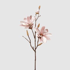 Декор-рослина (Інтер'єр) EDG MAGNOLIA VELLUTO RAMO H66 Pale Pink (683765-51), Pale Pink