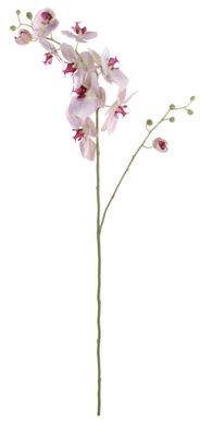Штучні рослини PHALAENOPSIS lavender 35955-SH H100CM 35955-SH фото