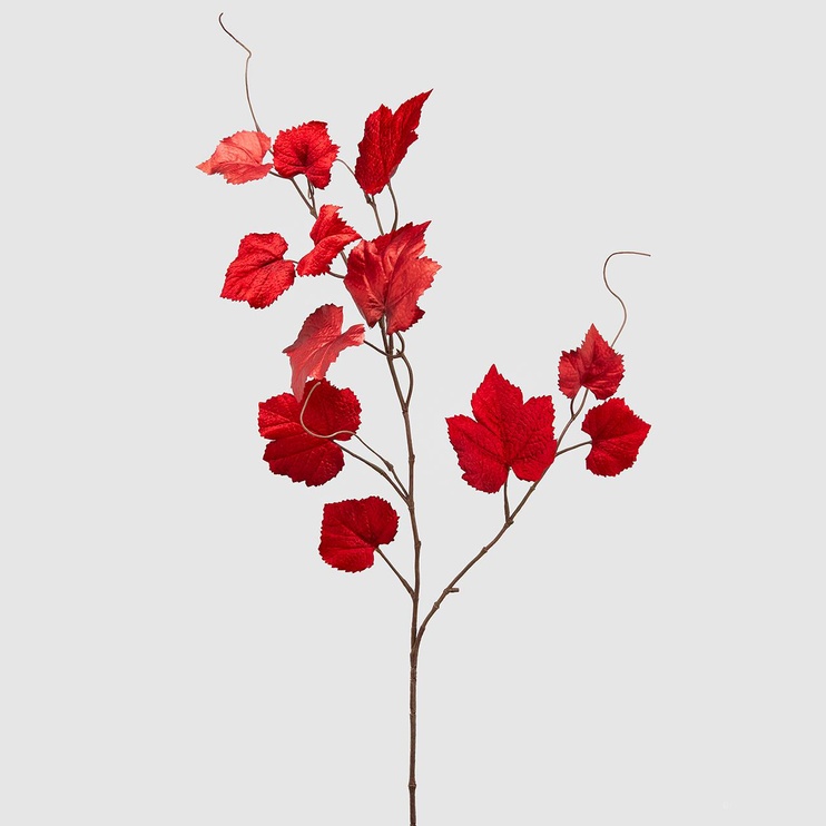 Декор-рослина (Інтер'єр) EDG VITE VELLUTO RAMO H84 Red (683767-40), Red