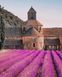 Ароматична свічка Collines de Provence DUO Rose & Hibiscus 180 гр. C2808RHI C2808RHI фото 9