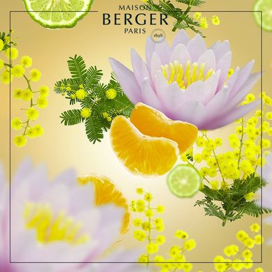 Наповнювач (ультразвуковой дифузор) Maison Berger AROMA D-STRESS: Sweet Fruit 475мл. (6491-BER) 6491-BER фото
