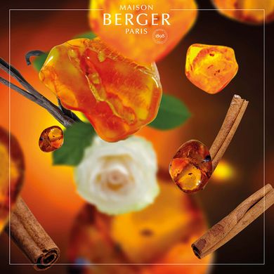 Наповнювач (Аромадифузор) Maison Berger 400 ml. Amber Powder (6804-BER) 6804-BER фото