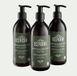 Алепський шампунь (2 in 1) Beroïa COSMOS ORGANIC Dry hair - Avacado & Fig 300 ml. (C-SHA05BE) C-SHA05BE фото 3