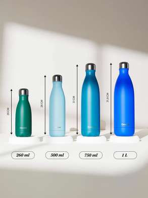 Пляшка (термо) Qwetch ORIGINALS 750 ml. Pastel Green (QD3202) QD3202 фото