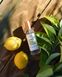 Інтер'єрні парфуми Collines de Provence LES NATURELLES Fresh Bergamot 100 мл. C0104BFR C0104BFR фото 3