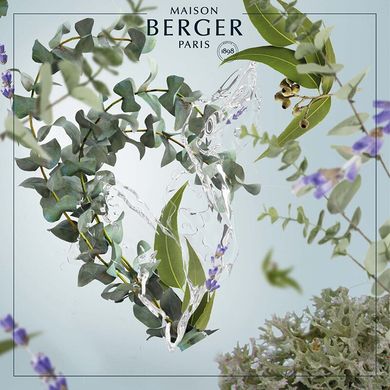 Аромат-наповнювач (Лампа Берже) Maison Berger Fresh Eucalyptus 500 ml. (115319-BER) 115319-BER фото