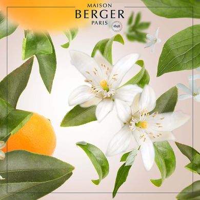 Аромадифузор Maison Berger ICE CUBE Orange Blossom 125 ml. (6876-BER) 6876-BER фото