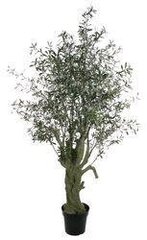 Исскуственные растения OLIVE TREE green 28029-SH H210CM