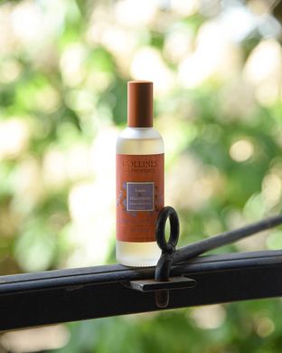 Інтер'єрні парфуми Collines de Provence DUO Amber & Heliotrope 100 мл. C2804AHE C2804AHE фото