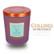 Ароматична свічка Collines de Provence DUO Figue & Aloe Vera 180 гр. C2808FAV C2808FAV фото 1