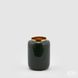 Ваза EDG VASO CHARM BOMB.H22 D15 dark green (602026-860) 602026-860 фото 1