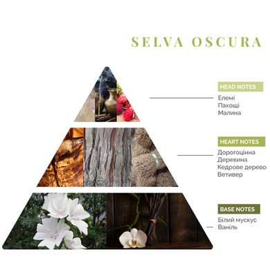 Інтер'єрні парфуми Logevy Firenze TRAVEL 30 ML Selva Oscura (Темний Ліс) 30-Selva фото