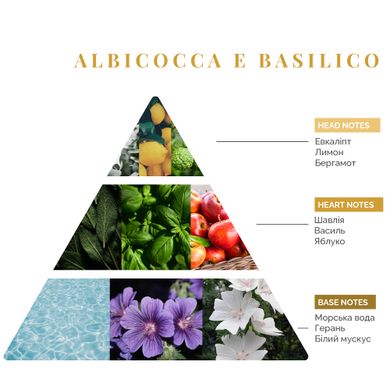 Інтер'єрні парфуми Logevy Firenze TRAVEL 30 ML Albicocca e Basilico (Абрикос & Базилік) 30-Basilico фото