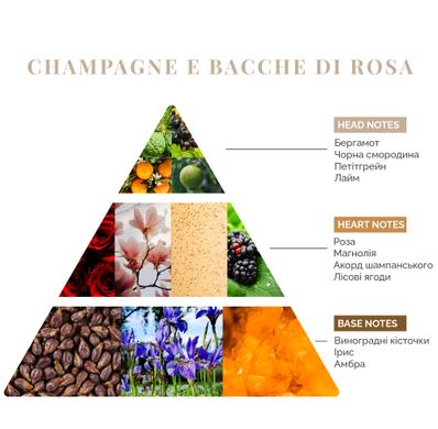 Інтер'єрні парфуми Logevy Firenze TRAVEL 30 ML Champagne e bacche di rosa (Шампанське & Рожеві ягоди) 30-Champagne фото