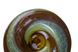 Ваза скляна Gilde GLASS Bowl AmbraBunt 8.0 x 35.0 см. 39440-GLD 39440-GLD фото 4