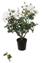 Исскуственные растения ROSE BUSH POTTED white 41334-SH H90CM
