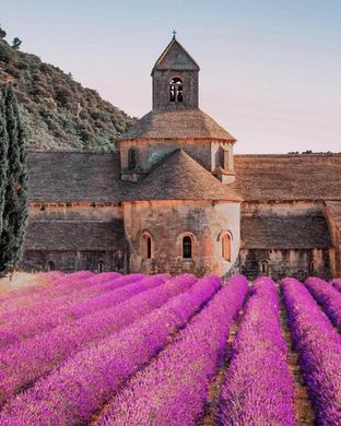 Аромадифузор Collines de Provence LES NATURELLES Blue Lilac 100 мл. C0101LIBL C0101LIBL фото