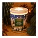 Ароматична свічка Collines de Provence CHRISTMAS Fir Forest 180 гр. C3308FSA C3308FSA фото 1
