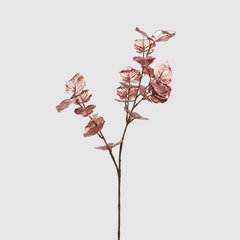 Декор-Растение (Интерьер) EDG EUCALIPTO MATERIAL RAMO H71 Pink (682838-50), Pink