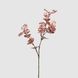 Декор-рослина (Інтер'єр) EDG EUCALIPTO MATERIAL RAMO H71 Pink (682838-50), Pink