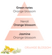 Наповнювач (Аромадифузор) Maison Berger REFILL Fleur d'Oranger 200 ml. (6047-BER) 6047-BER фото 4