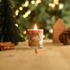 Ароматична свічка Collines de Provence CHRISTMAS Christmas Spices 75 г. C3545ENO C3545ENO фото 2
