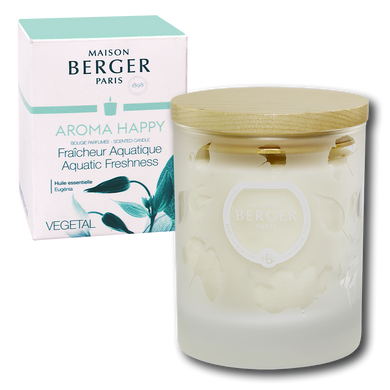 Ароматична свічка Maison Berger AROMA HAPPY 180гр. (6362-BER)