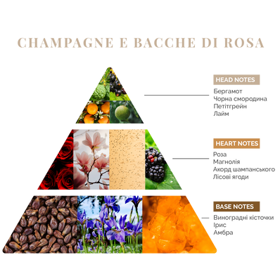 Аромадифузор Logevy Firenze MAGNUM 3000 ML Champagne e bacche di rosa (Шампанське & Рожеві ягоди) (LOG0137) LOG0137 фото