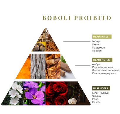 Аромадифузор Logevy Firenze 1'000 ML Boboli Proibito (Заборонений сад Боболі) (LOG0235) LOG0235 фото