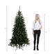 Ялина штучна Triumph Tree FOREST FROSTED LED SLIM GREEN 256L - H215xD117 см. (387687-EDL) 387687-EDL фото 2