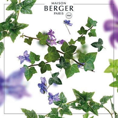 Набiр (аромадифузор та свічка) Maison Berger MINI DUO 80/80ml. Lolita Lempicka (6370-BER) 6370-BER фото