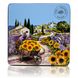 Подарункова коробка Label Provence CARRE ET PLATE (15 x 15 x 3,8) Aquarelle Brouette Tournesol (BD59) BD59 фото 1