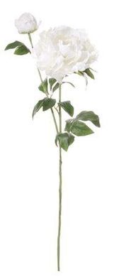 Штучні рослини PEONY W / BUD white 46865-SH H75CM 46865-SH фото