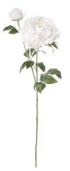 Исскуственные растения PEONY W/BUD white 46865-SH H75CM