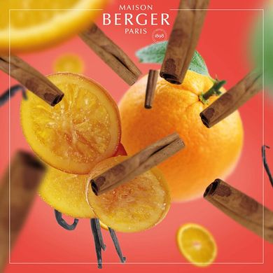 Аромадифузор Maison Berger BQT CUBE 125ml. Orange De Cannelle (6002-BER) 6002-BER фото