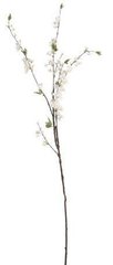 Штучні рослини CHERRY BLOSSOM white 37595-SH H150CM