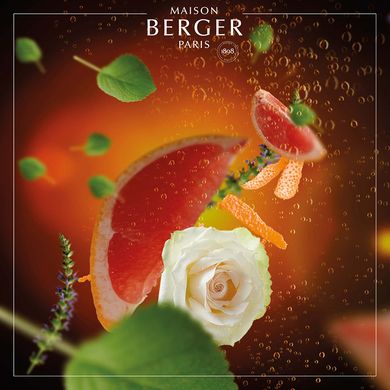 Ароматическая свеча Maison Berger OLYMPE Amber pink - Exquisite Sparkle 180мл. (6689-BER)