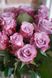 Букет квітів Моно з троянд бк2078 бк2078 фото 3
