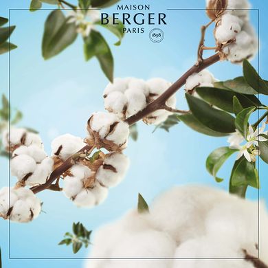 Аромадифузор Maison Berger BQT CUBE 125ml. Cotton Caress (6187-BER) 6187-BER фото