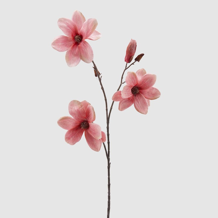 Декор-рослина (Інтер'єр) EDG MAGNOLIA BELL RAMO BRINA H91 Pink (684053-50), Pink